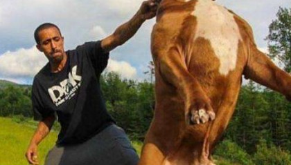 铲屎官牵着比特犬散步，结果比特犬突然发狂，咬住自行车不松口