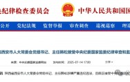 长安虎落！西安人大主任韩松突遭审查，国际港务区往事或成焦点