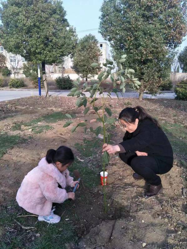 “植”此青绿 悦享自然