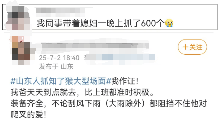 有人一天能捉12-15斤净赚2000元！近期大量出现，不少人夜晚出动
