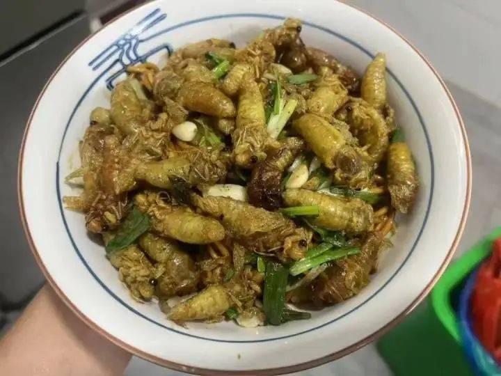 有人一天能捉12-15斤净赚2000元！近期大量出现，不少人夜晚出动